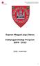 Sopron Megyei Jogú Város Önkormányzata Esélyegyenlőségi Program. 2008. november