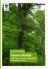 Faóriások a Normafán. A WWF Magyarország felmérése a Normafa környékén található jelentős méretű fákról. Örökerdők a Budai-hegységben