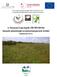 A Tiszasasi Láp-legelő (HUHN20156) kiemelt jelentőségű természetmegőrzési terület. fenntartási terve