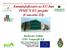 Kutatásfejlesztés az EU-ban PIME S EU projekt (Concerto III)