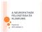 A NEUROPATHIÁK FELOSZTÁSA ÉS KLINIKUMA. Kaposvár 2013 október 4.