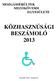 KÖZHASZNÚSÁGI BESZÁMOLÓ 2013