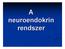 A neuroendokrin rendszer