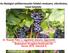 Az ökológiai szőlőtermesztés feltétel rendszere, ellenőrzése, hazai helyzete