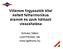 Villamos fogyasztók által keltett felharmonikus áramok és azok hálózati visszahatása. Schulcz Gábor LIGHTRONIC Kft. www.lightronic.