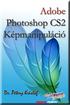 Dr. Pétery Kristóf: Adobe Photoshop CS2 Képmanipuláció