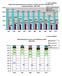 Bőncselekmények aránya az összbőnözésen belül 2006-2010.