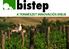 BISTEP előállítási technológiája: