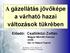 A gázellátás jövőképe a várható hazai változások tükrében