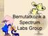 Bemutatkozik a Spectrum Labs Group