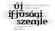 új ifjúsági szemle IFJÚSÁGELMÉLETI FOLYÓIRAT VIII. ÉVFOLYAM 2. SZÁM 2010 NYÁR WWW.UISZ.HU