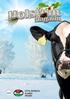 Holstein M agazin. XVIII. évfolyam 1. szám 2010/1. XXIII. évfolyam 6. szám 2015/6. ISO 9001. Tanúsított cég