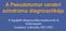 A Pseudotumor cerebri szindróma diagnosztikája. A legújabb diagnosztikai módszerek és kritériumok Szatmáry Gabriella, MD, PhD