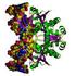 Endonuclease enzyme that hydrolyzes DNA; produced by the mammalian pancreas. Termék típus