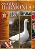 HíRMONDÓ ZSOMBÓI. Zsombó Község Önkormányzatának hivatalos információs és kulturális kiadványa. VII. évfolyam 8. szám 2009.