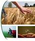 A növénytermesztési technológiák élelmiszerbiztonsági kérdései. 2014. július 9.