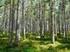 Jogosult erdészeti szakszemélyzet általános továbbképzése