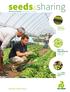 seeds&sharing Hajtató és szabadföldi saláta fajták Knox -új fajtatulajdonság a Rijk Zwaan salátáknál Saláta vágás, csomagolás, hűtés