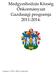 Medgyesbodzás Község Önkormányzat Gazdasági programja 2011-2014.