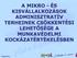 A MIKRO - ÉS KISVÁLLALKOZÁSOK ADMINISZTRATÍV TERHEINEK CSÖKKENTÉSI LEHETŐSÉGE A MUNKAVÉDELMI KOCKÁZATÉRTÉKELÉSBEN