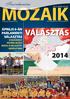 Kazincbarcikai ÁPRILIS 6-ÁN PARLAMENTI VÁLASZTÁS HUSZONEGY EGYÉNI JELÖLT INDUL A VÁLASZTÓ- KERÜLETBEN 2014. MÁRCIUS 28.