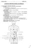 1. Locus minores resistentiae abdominis (a hasfal gyenge pontjai)