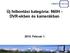 Új felbontási kategória: 960H - DVR-ekben és kamerákban. 2013. Február 1.