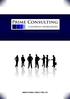 WWW.PRIMECONSULTING.HU