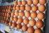 38/2016. (VI. 6.) FM rendelet. az étkezési tojást termelő tyúkállományok, valamint tenyészbaromfi fajok állatjóléti támogatásának feltételeiről