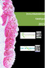 Immunhisztokémiai. Katalógus. histopat.hu. dbbiotech.com