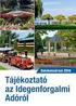 Balatonszárszó Nagyközség Önkormányzatának Képviselı-testülete 8624 Balatonszárszó, Hısök tere l. Ügyiratszám: /2011