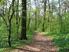 Natura 2000 erdőkben a fahasználatok jelölésének természetvédelmi szempontjai
