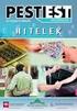 2. melléklet a Pénzügyi Szervezetek Állami Felügyelete elnökének 20 /2011. (X. 20.) számú PSZÁF Rendeletéhez KITÖLTÉSI ÚTMUTATÓ