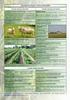 A Mezőgazdasági és Vidékfejlesztési Hivatal 57/2012 (IV. 18.) számú KÖZLEMÉNYE