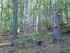 Erdészeti munkák elvégzése a Bükki Nemzeti Park Igazgatóság vagyonkezelésében lévő erdőterületeken vállalkozási szerződés keretében.