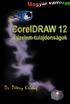 Dr. Pétery Kristóf: CorelDRAW 12 Rajzelem-tulajdonságok