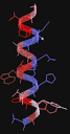 A fehérjék hierarchikus szerkezete