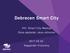 Debrecen Smart City. XIII. Smart City Meetup Okos épületek, okos otthonok Nagyerdei Víztorony