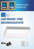 LED-WAND- UND DECKENLEUCHTE