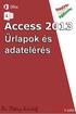 Access 2013 Űrlapok és adatelérés