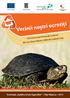 Broasca țestoasă de baltă (foto: Sos Tibor)