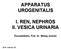 APPARATUS UROGENITALIS I. REN, NEPHROS II. VESICA URINARIA március 26.