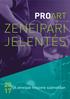 PROART ZENEIPARI JELENTÉS