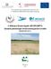A Bökönyi Közös-legelő (HUHN20072) kiemelt jelentőségű természetmegőrzési terület fenntartási terve