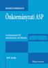 ÖNSZERVEZŐ ÖNKORMÁNYZAT. Önkormányzati ASP. Az önkormányzati ASP szakrendszerekre való felkészítés RUPP ZOLTÁN