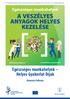 A VESZÉLYES ANYAGOK HELYES KEZELÉSE