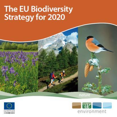 Biodiverzitás pályázatokra vonatkozó kritérium: A javasolt akciók célja: a EU Biodiverzitás Stratégia