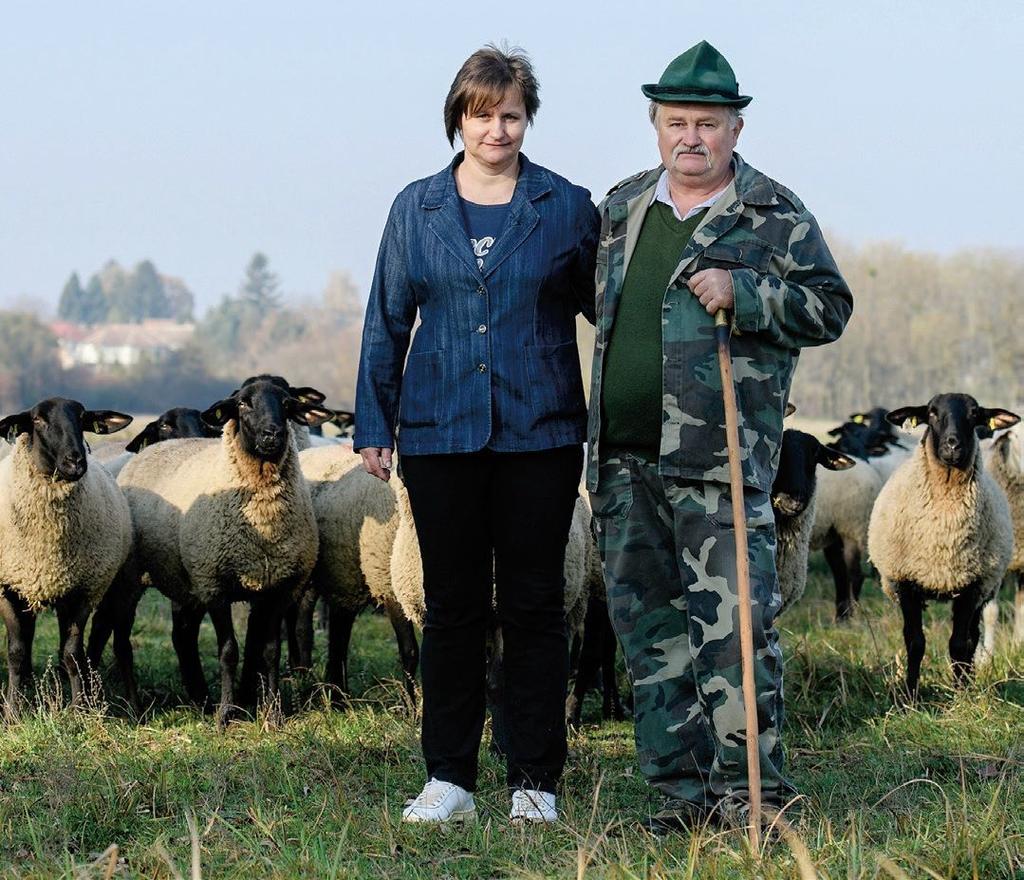 Rendszeresen jár kiállításokra, elsősorban Hódmezővásárhelyre, az OMÉK-ra, és Kaposvárra visz tenyészállatokat.