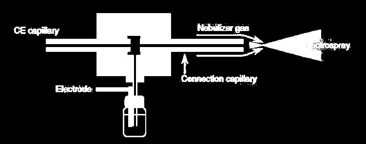 CE-MS interfész