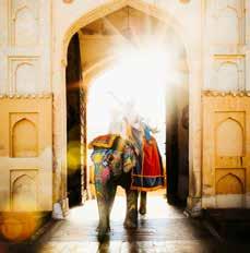 Rajasthan állam kapuja, Jaipur az ország egyik legnagyobb és legrégebbi ékszerkészítő központja; a zománcozás és drágakő berakás a leghíresebb technika.